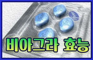 비아그라 효능 비아그라 효능